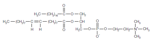 2320_Fatty acid chains.png